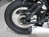 Mutt Akita 125 Pre-registered 22