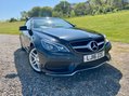 Mercedes-Benz E Class E220 BLUETEC AMG LINE 10
