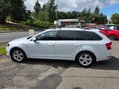 Skoda Octavia SE TECHNOLOGY TSI DSG 1ltr 8