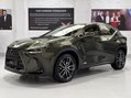 Lexus NX 450H PLUS TAKUMI 8