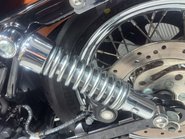 Harley-Davidson Sportster XL1200 C 2007 105 ANNIVERSARY ONLY 4K LONG MOT 1200CC 24