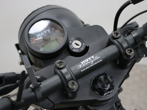 Mutt Akita 125 Pre-registered 27