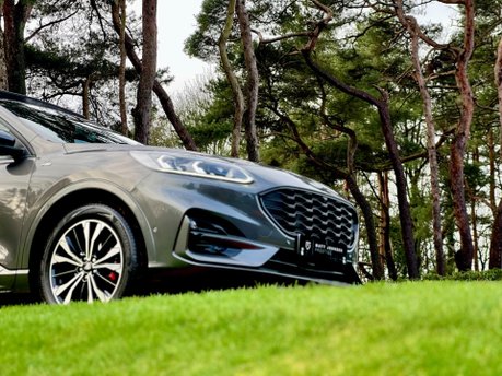 Ford Kuga ST-LINE X FIRST EDITION ECOBLUE 32