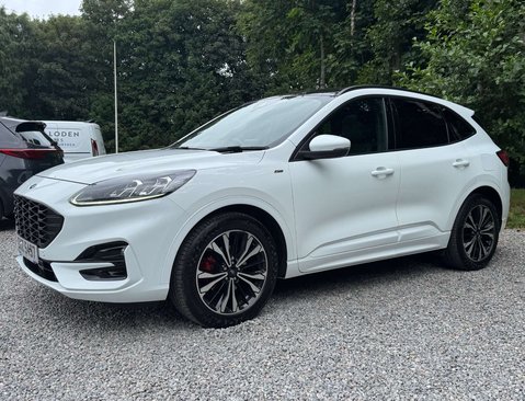 Ford Kuga 2.0 Kuga ST-Line X EcoBlue MHEV 5dr 12