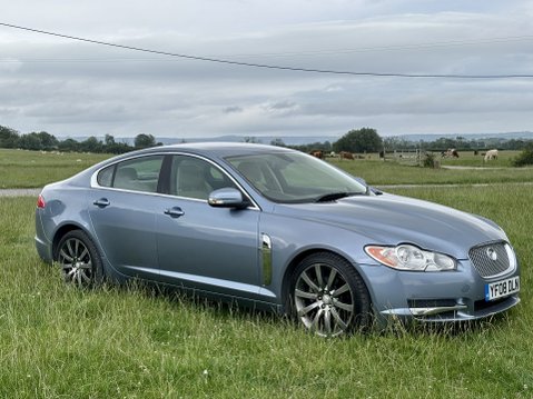 Jaguar XF PREMIUM LUXURY V6 STUNNING EXAMPLE FSH 8