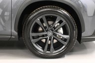 Lexus NX 2.5 NX 350h CVT 4WD 5dr 31