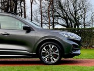 Ford Kuga ST-LINE X FIRST EDITION ECOBLUE 19