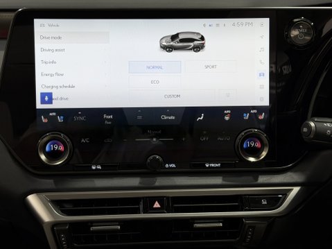 Lexus RX 450H+ PREMIUM PLUS 66