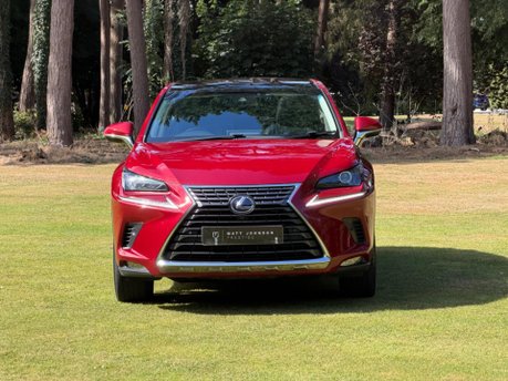 Lexus NX 300H LUXURY 5