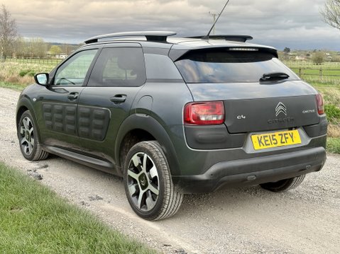 Citroen C4 Cactus BLUEHDI FLAIR 6