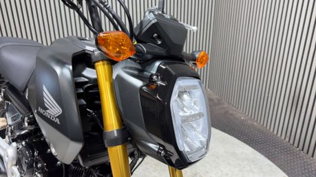 Honda MSX125 GROM 125 2022 5 SPEED 6K MOT OCTOBER 2027 125CC MINI BIKE 18
