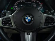 BMW X7 M50d SUV 3.0 Automatic Diesel 33