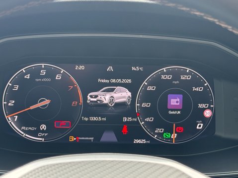 Cupra Formentor 2.0 TSI VZ2 SUV 5dr Petrol DSG 4Drive Euro 6 (s/s) 13