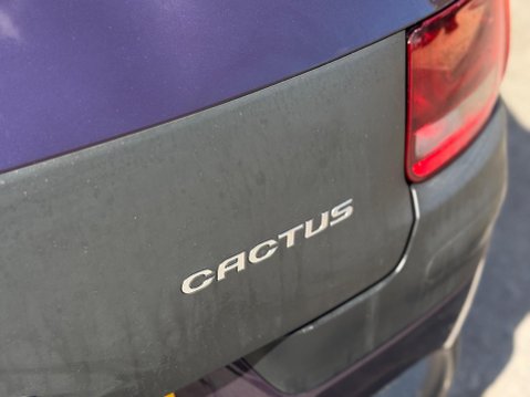 Citroen C4 Cactus 1.2 PureTech Flair Euro 6 (s/s) 5dr 41
