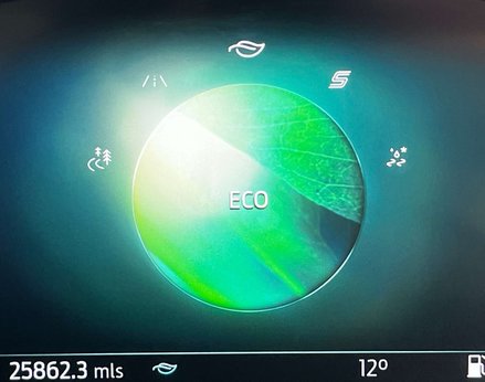 Ford Puma 1.0 Puma ST-Line MHEV 5dr 31