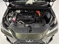 Lexus NX 450H PLUS TAKUMI 13