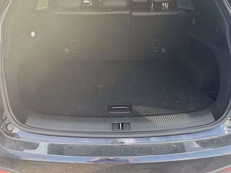 MG HS 1.5 T-GDI Exclusive SUV 5dr Petrol DCT Euro 6 (s/s) (162 ps) 8