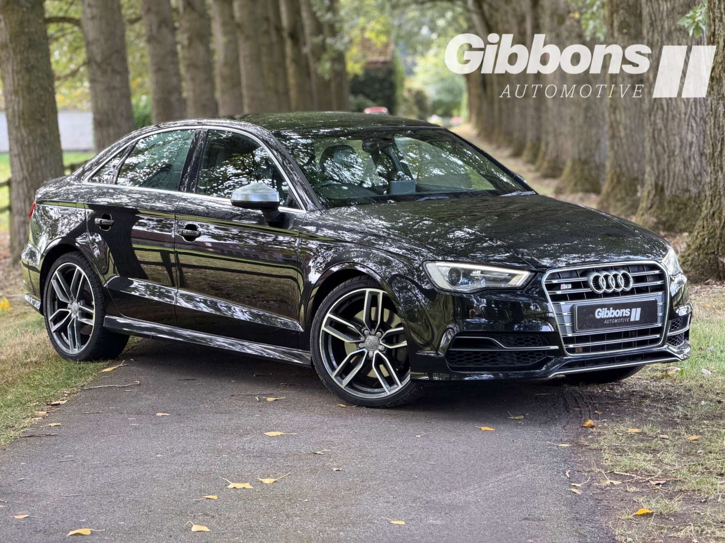 2014 Audi S3