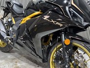 Lexmoto LXR 2026 125CC SPORTS BIKE MOT 2029 CLEAN LEARNER BIKE 125CC 14