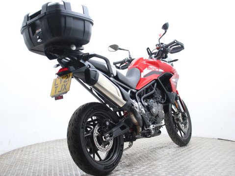 Triumph Tiger 900 TIGER 900 GT PRO 12