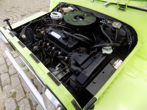 Austin Mini Moke 23