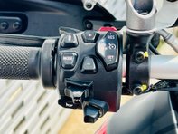 Ducati Multistrada V4 Multistrada V4 Rally 19