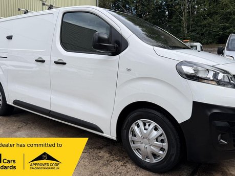 Vauxhall Vivaro 1.5 Turbo D 2900 Dynamic Panel Van 6dr Diesel Manual L2 H1 Euro 6 (s/s) (10