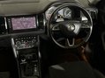 Skoda Kodiaq SE L TDI SCR DSG 13