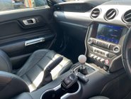 Ford Mustang BULLITT 33