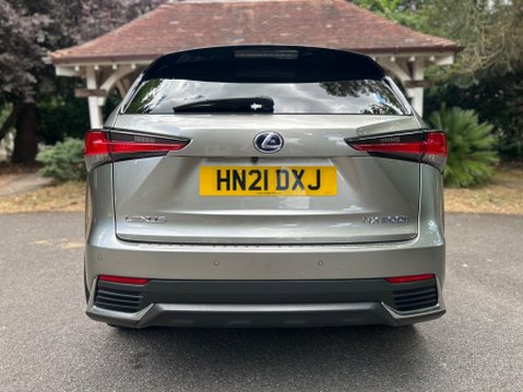 Lexus NX 300H 23