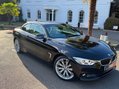 BMW 4 Series 2.0 420d Luxury Auto Euro 6 (s/s) 2dr 31