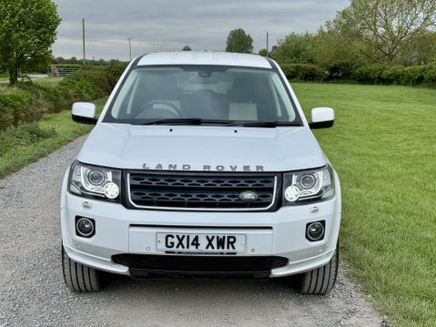 Land Rover Freelander SD4 DYNAMIC 7