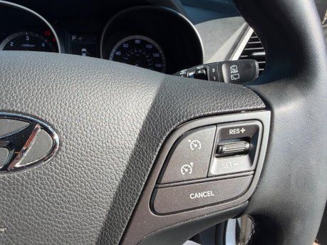 Hyundai SANTA FE CRDI PREMIUM BLUE DRIVE 12