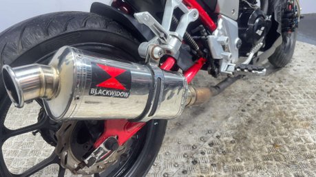 Lexmoto Venom 2019 13K SOUGHT AFTER 125CC PROJECT BIKE SPARES OR REPAIR 18