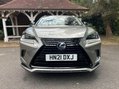 Lexus NX 300H 16