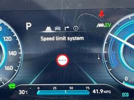 Hyundai TUCSON 1.6 Tucson Premium TGDi HEV Auto 5dr 31