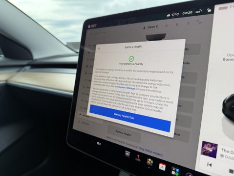 Tesla Model 3 (Dual Motor) Performance Saloon 4dr Electric Auto 4WDE (Performance Upgrade 43