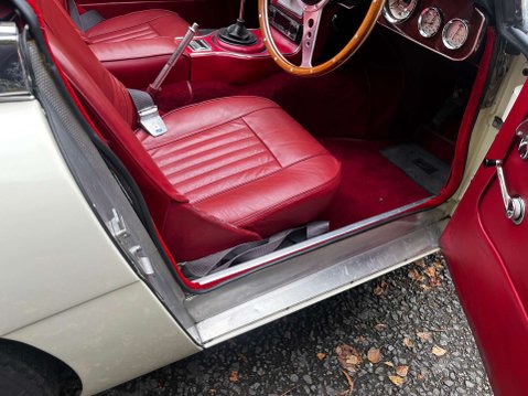 Austin Healey 3000 15