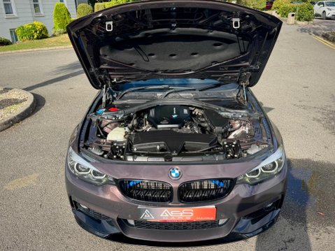 BMW 4 Series 2.0 420d M Sport Auto Euro 6 (s/s) 2dr 46