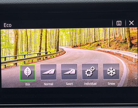 Skoda Kodiaq 2.0 Kodiaq SE L TSi 4x4 Semi-Auto 4WD 5dr 44