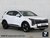 Kia Sportage 1.6 T-GDi HEV PURE