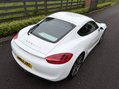 Porsche Cayman 24V 14