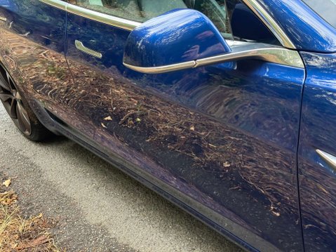 Tesla Model 3 Model 3 Performance AWD 4WD 4dr 57
