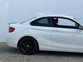 BMW 2 Series 2.0 220i Sport 2dr 20