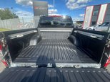 Nissan Navara 2.3 dCi Tekna Pickup Double Cab 4dr Diesel Auto 4WD Euro 6 (190 ps) 47