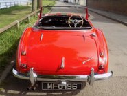 Austin Healey 100/6 BN4 82