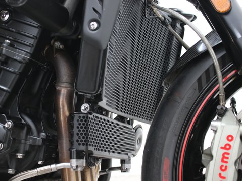 Triumph Speed Triple 1050 SPEED TRIPLE 1050 RS 38