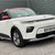 Kia Soul 150kW First Edition 64kWh 7