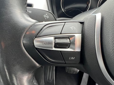 BMW X2 XDRIVE25E M SPORT (PHEV) 39