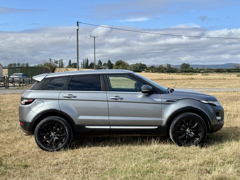 Land Rover Range Rover Evoque SD4 PRESTIGE LUX Massive Spec Panoramic Roof Great Value 2